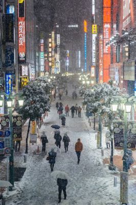 都内 冬 グルメ - 雪景色と共に味わう東京の隠れた味覚